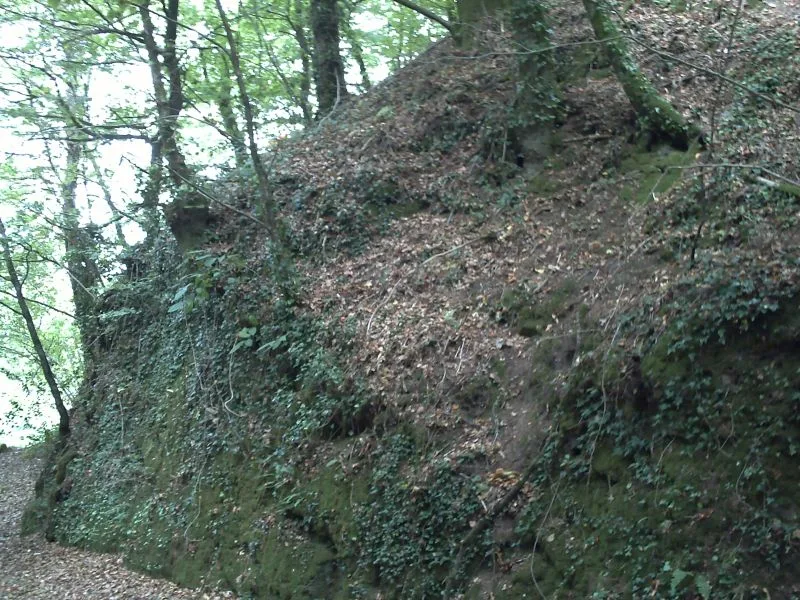 Motte castrale du Roc'h, Arzano – Finistère