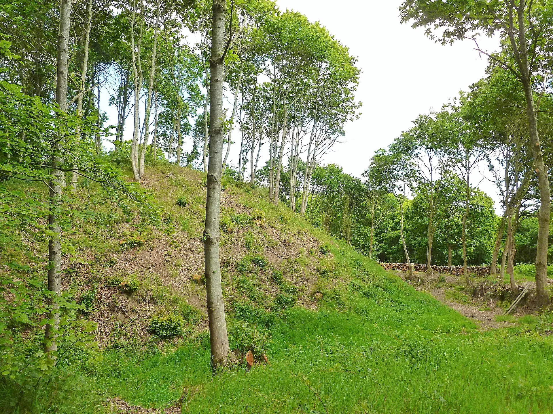 Motte féodale des Bourgs Heusas