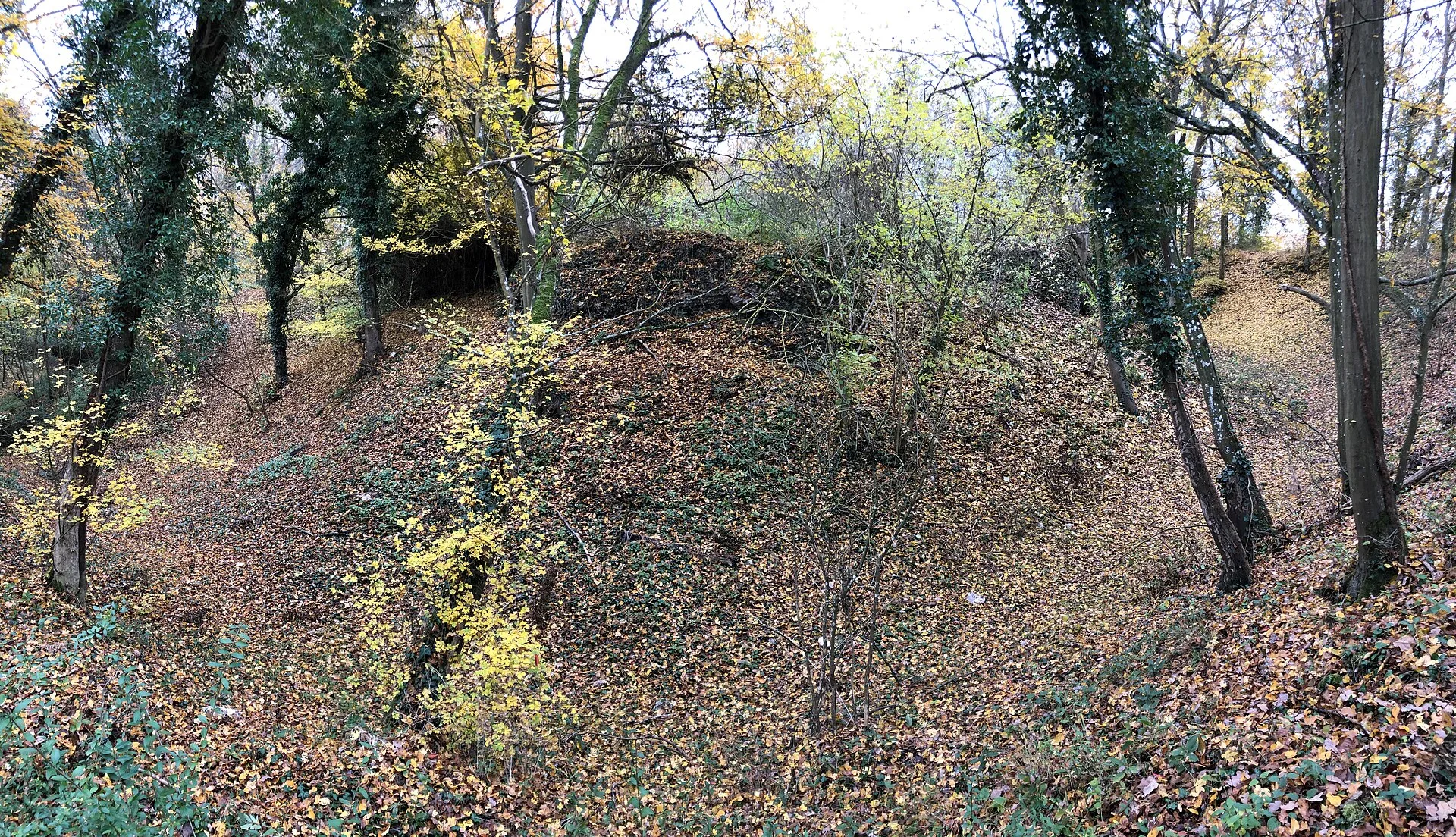 Motte médiévale du Plessis-Saint-Rémy, Saint-Rémy-sur-Avre – Eure-et-Loir