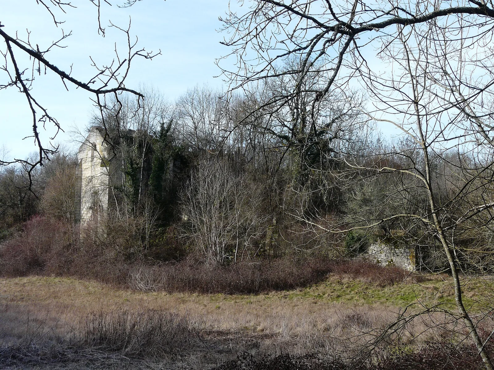 Ruines du château de Jovelle, La Tour-Blanche – Dordogne
