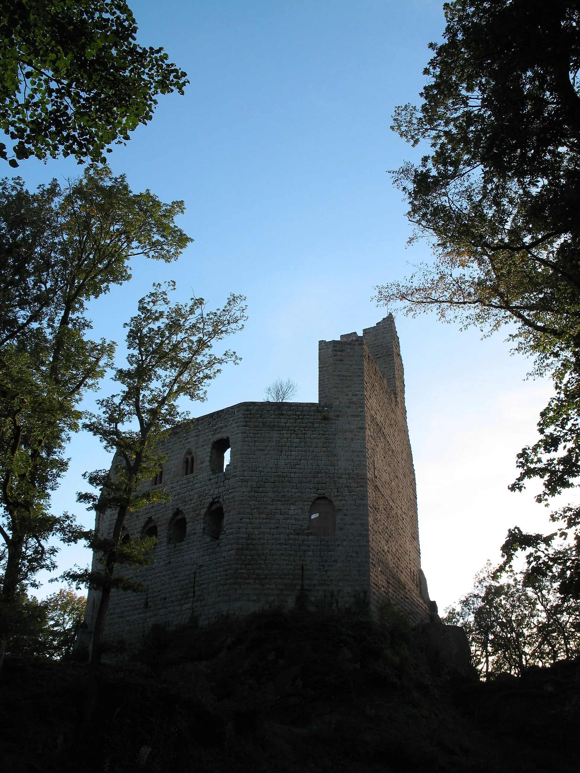 Ruines du château de Spesbourg