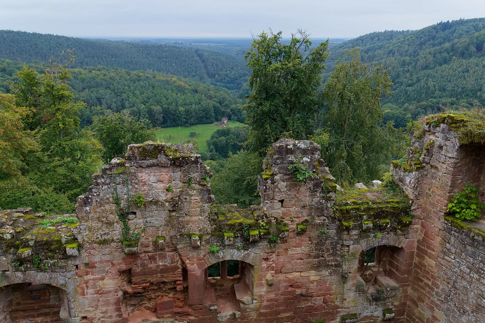 Ruines du château du Vieux-Windstein