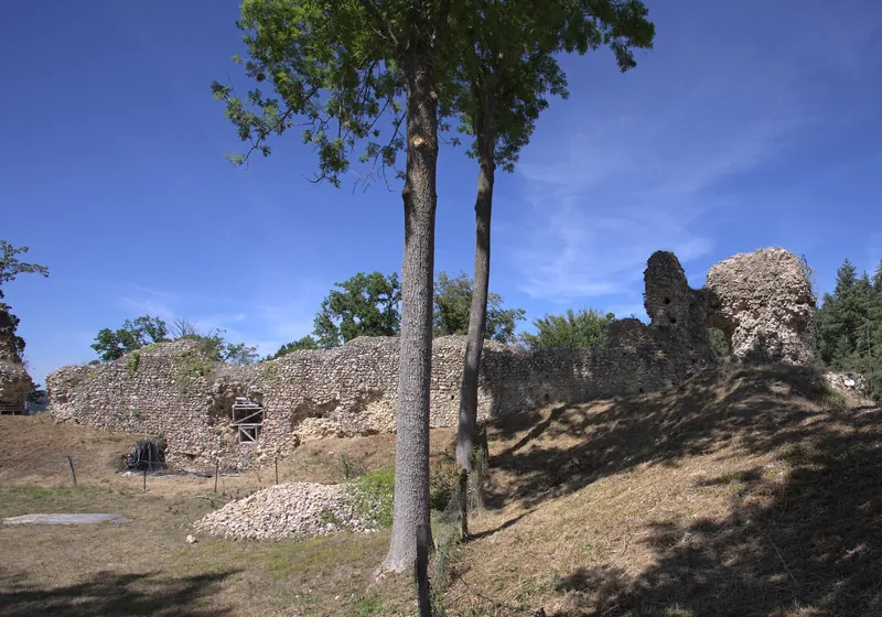 Ruines du château fort