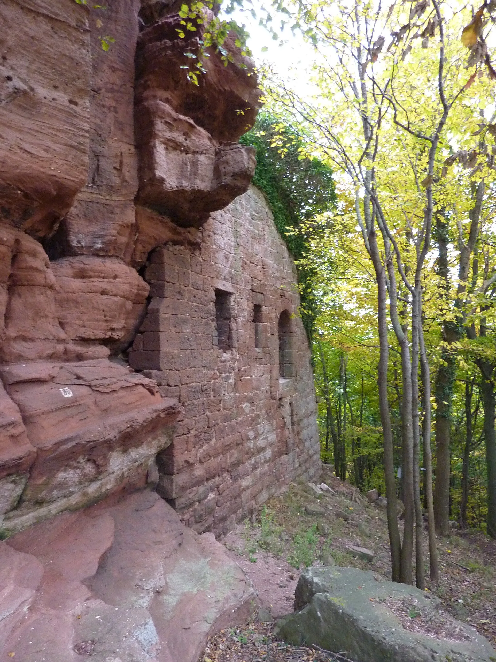 Ruines du château Ochsenstein