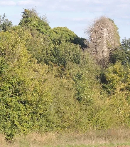 Tour de la Grange, Villeconin – Essonne
