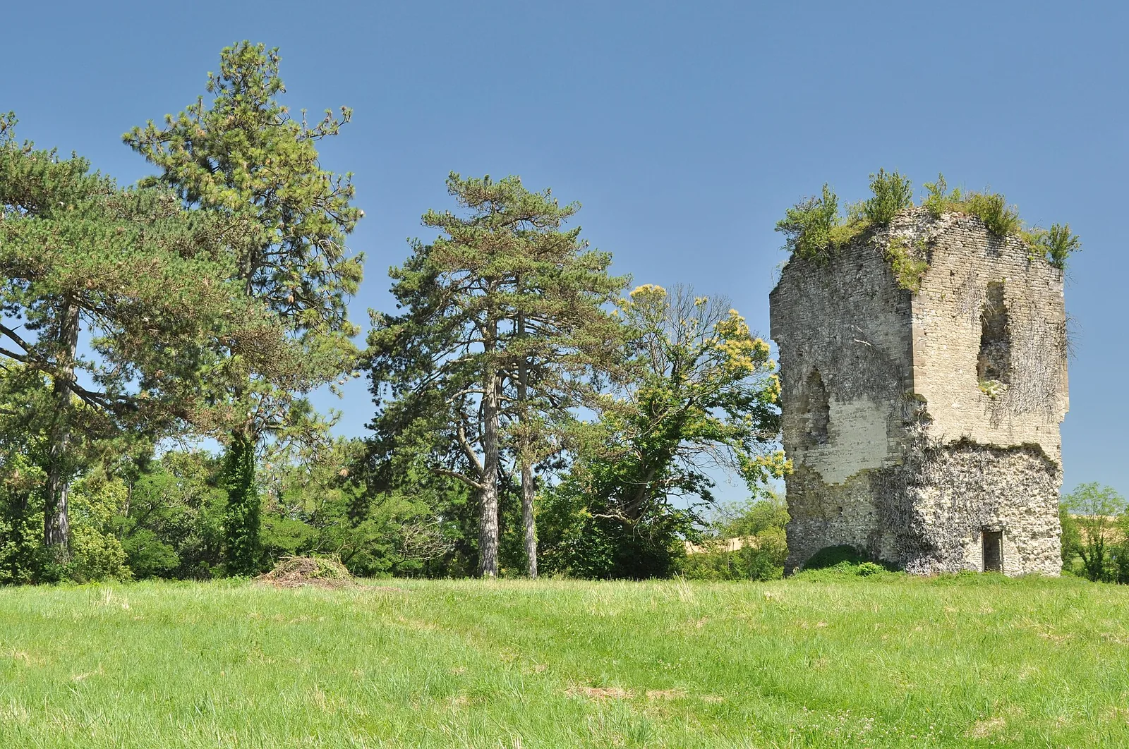 Tour du Pollet, Saint-Chef – Isère