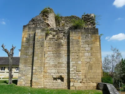 Vieux château de Saint-Geniès