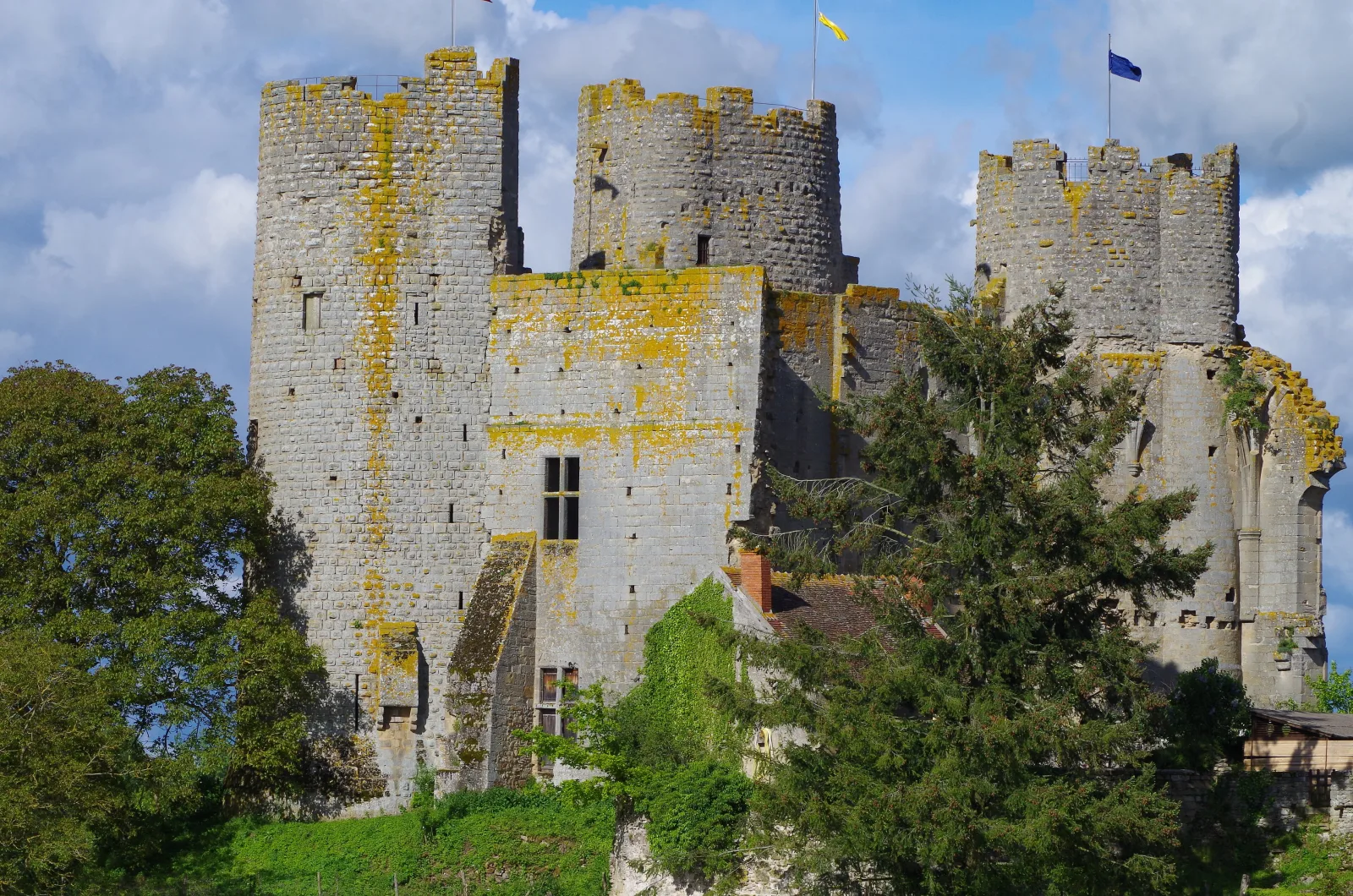 Château de Bourbon-l'Archambault, Bourbon-l'Archambault – Allier