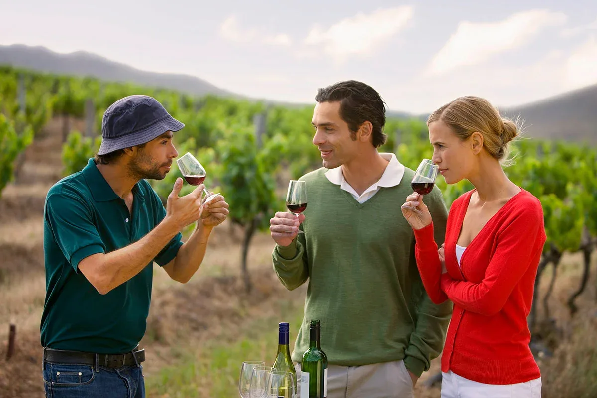 Château test 1, Pouilly-les-Nonains – visite